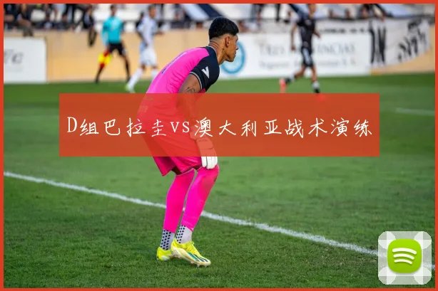 D组巴拉圭vs澳大利亚战术演练