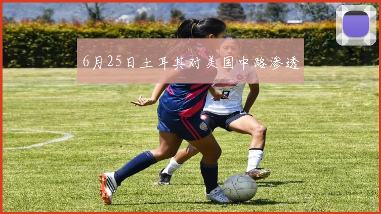 6月25日土耳其对美国中路渗透