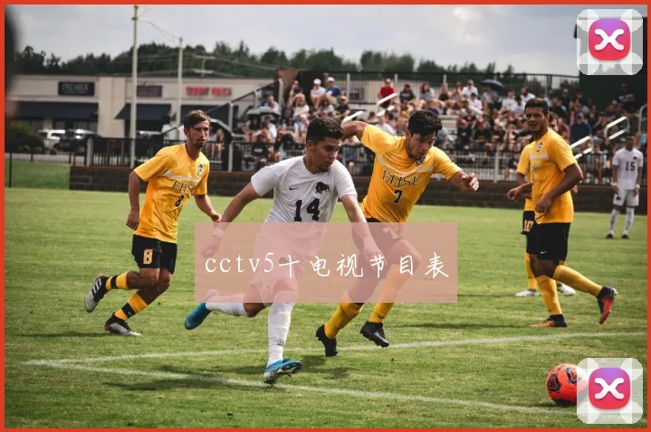 cctv5十电视节目表