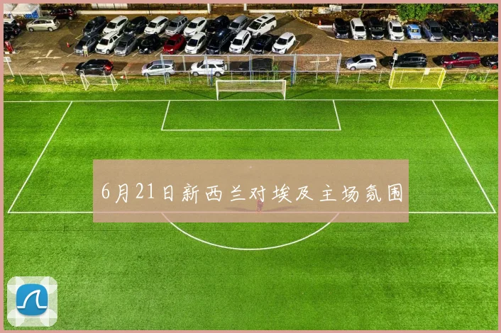 6月21日新西兰对埃及主场氛围
