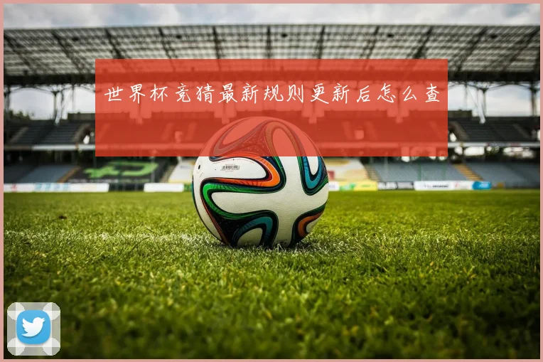 世界杯竞猜最新规则更新后怎么查