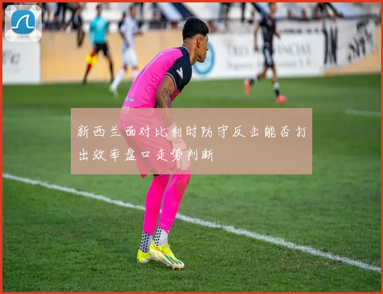 新西兰面对比利时防守反击能否打出效率盘口走势判断