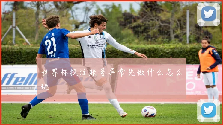 世界杯投注账号异常先做什么怎么玩