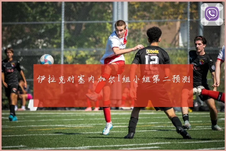 伊拉克对塞内加尔I组小组第二预测