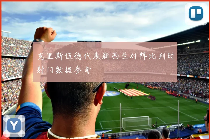 克里斯伍德代表新西兰对阵比利时射门数据参考