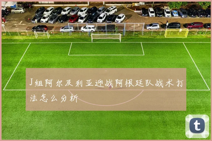 J组阿尔及利亚迎战阿根廷队战术打法怎么分析
